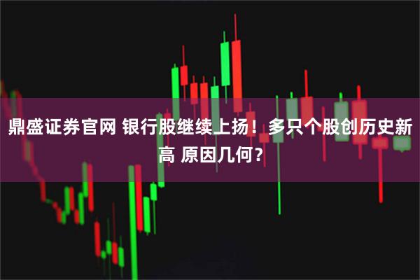 鼎盛证券官网 银行股继续上扬！多只个股创历史新高 原因几何？