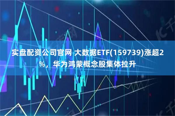 实盘配资公司官网 大数据ETF(159739)涨超2%，华为鸿蒙概念股集体拉升
