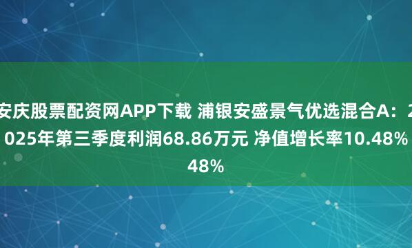 安庆股票配资网APP下载 浦银安盛景气优选混合A:2025年第三季度利润68.86万元 净值增长率10.48%