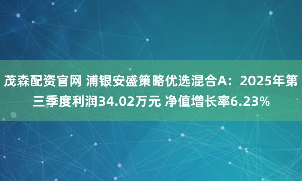 茂森配资官网 浦银安盛策略优选混合A:2025年第三季度利润34.02万元 净值增长率6.23%