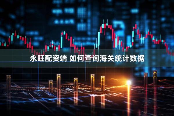 永旺配资端 如何查询海关统计数据