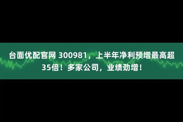 台面优配官网 300981，上半年净利预增最高超35倍！多家公司，业绩劲增！